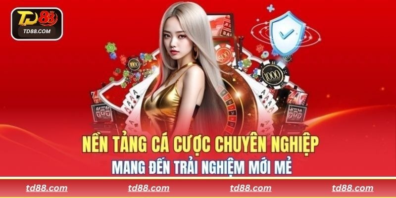 Nền tảng cá cược chuyên nghiệp mang đến trải nghiệm mới mẻ